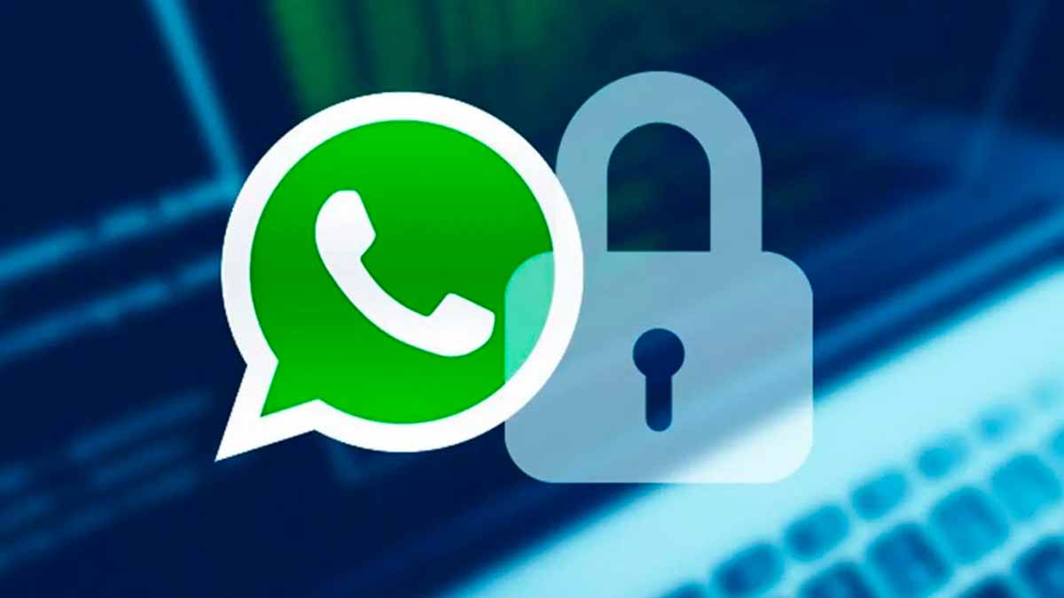 Privacidad whatsapp plus WhatsApp Plus contactos bloqueados